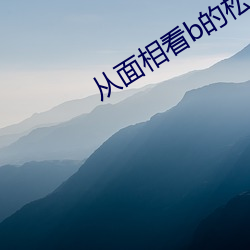 从面(面)相看(看)b的松紧