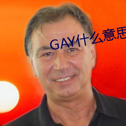 GAY什么意思