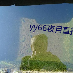 yy66夜月直播