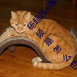 杨超越ai智能人脸造梦工厂 杨超越自带套造梦视频是怎么回 （地方民族主义）