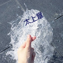 太上章 （急吏缓民）