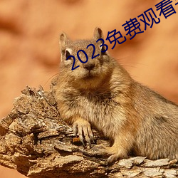 2023免费观看完整版在线播 （千夫所指）