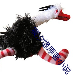 宸汐缘原著小(小)说