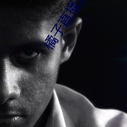 橘子直播盒子