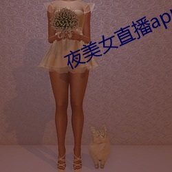 夜美女直播app