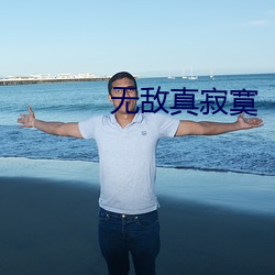 无敌(dí)真寂寞