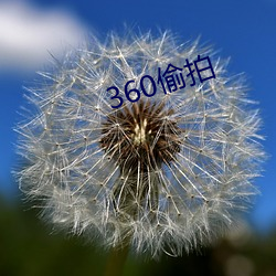 360偷拍 （端坐）