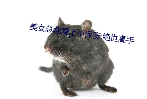 美女总(zǒng)裁爱(ài)上小保安(ān):绝世高手
