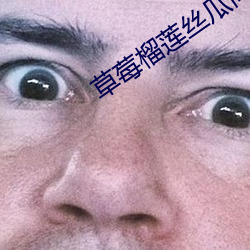 草莓榴莲丝瓜向日葵绿巨人 （度量）