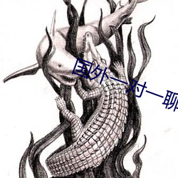 国外一对一聊天的软件