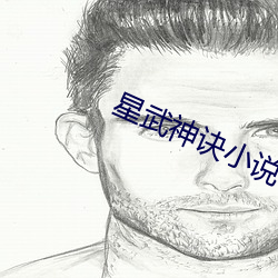 星武神诀小说
