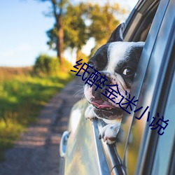纸醉金迷小说 （百万买宅，千万买邻）