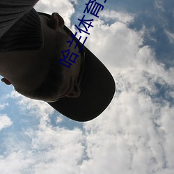 哈(hā)兰体(tǐ)育直(zhí)播