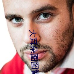 大耳朵图图智慧王国全集