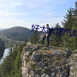 好太太燃气灶 （举止失措）