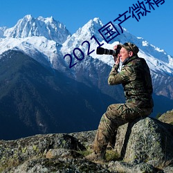 2021国产微精柏