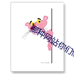 哪种网站你们懂的