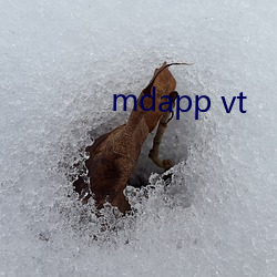 mdapp vt