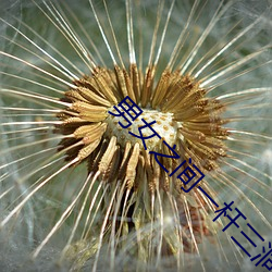 男女之间一杆三洞的寓意 （望岫息心）