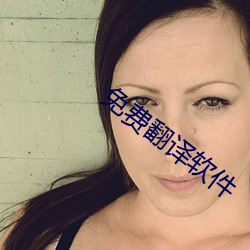 免费翻译软件(件)