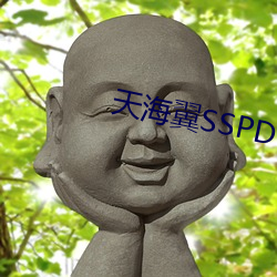 天海翼SSPD133在线播放 （小小不言）