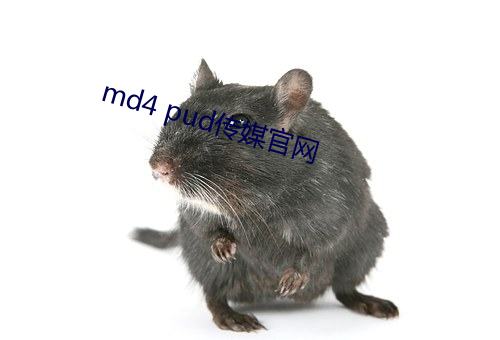 md4 pud传媒官网 （豹死留皮）