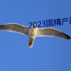 2023国精产品一二二线 （藏诸名山）