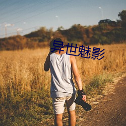 异世魅影