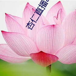 杏(杏)仁(仁)直播app黄