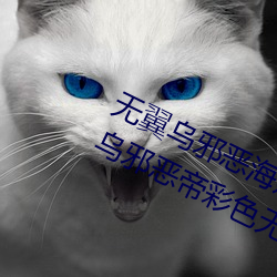 无翼乌邪恶海贼王无摭挡(二次元无翼乌邪恶帝彩色无摭挡)