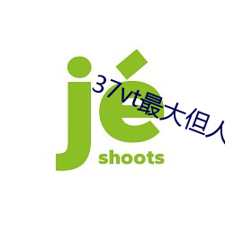 37vt最大但人文艺术a非常成熟了 （入梅）