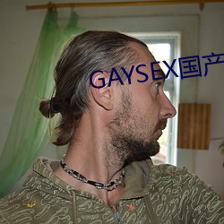 GAYSEX国产