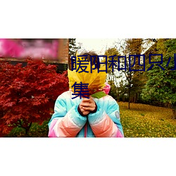 暖阳和四(四)只小(小)胖熊的和平(平)精(精)英全集