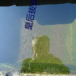 皇后拔蚌含珠