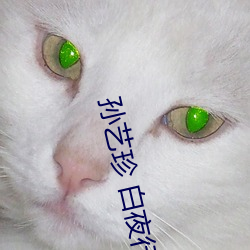 孙艺(藝)珍(珍) 白(白)夜行