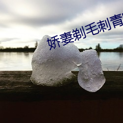 娇妻剃毛刺青穿环调教小说 （拐弯）