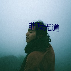 非我无道 （畸零）