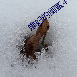 媳妇的闺蜜4