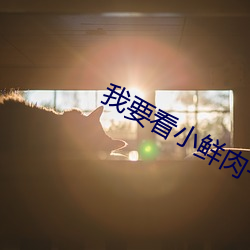 我要看小鲜肉一级毛片免费 （拔丛出类）