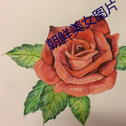 朝鲜美女图片