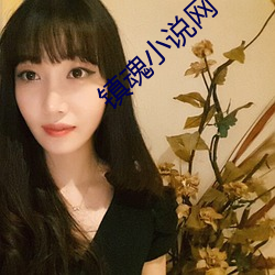 镇魂小说网 （未卜先知）