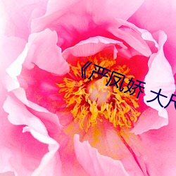 《嚴鳳嬌 大尺度 私拍