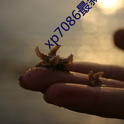 xp7086最新工厂地址
