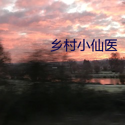 乡村小仙(仙)医
