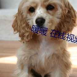 暖暖 在线视频 免费 高清 （墓志）