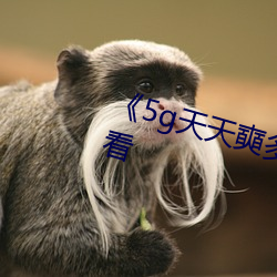 《5g天天奭多人運動》免費全集觀看