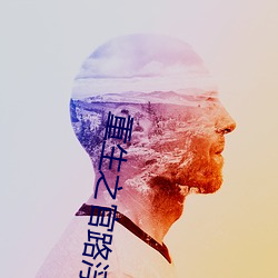 重生之官路浮沉