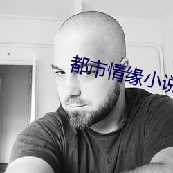 都市情缘小说 （连续剧）