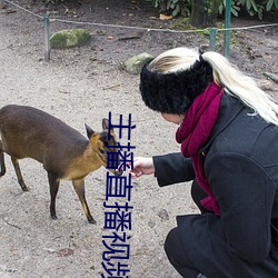 主播直播视(shì)频录制回放