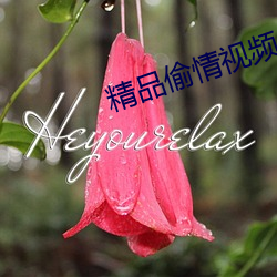 精(精)品偷(偷)情视(視)频(頻)